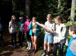 Waldpadagogischer Tag 4