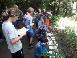 Waldpadagogischer Tag 6