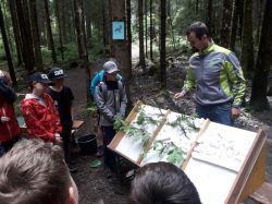 Waldpadagogischer Tag 7